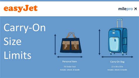 easyjet luggage regels.